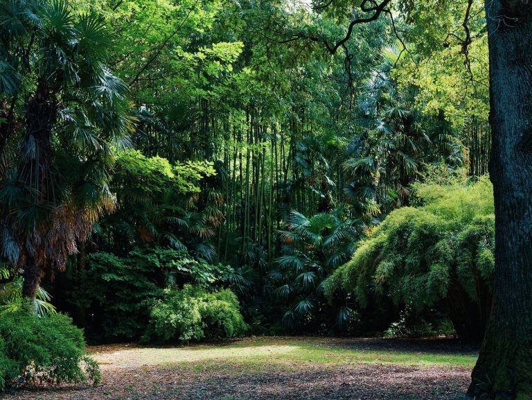 Un voyage pour préserver la biodiversité et lutter contre le changement climatique: protéger les espaces naturels en France